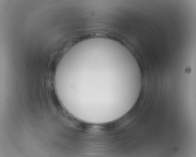 X0000113530222200909181007