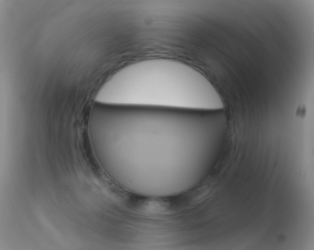 X0000113530223200909181007