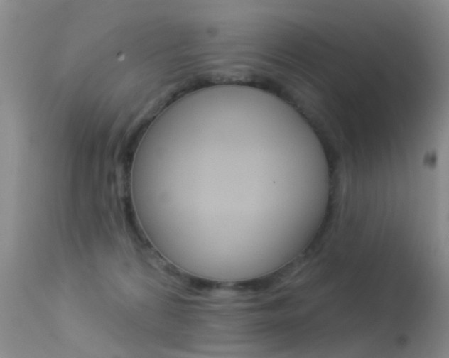 X0000113530224200909181007