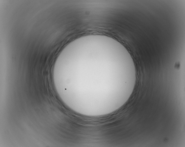 X0000113530225200909181007