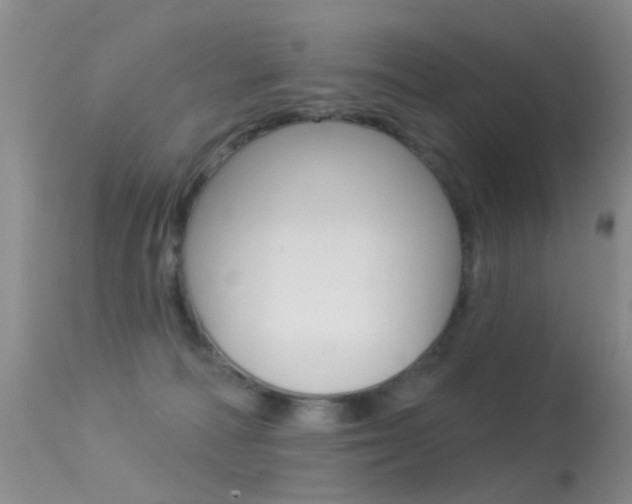 X0000113530226200909181007