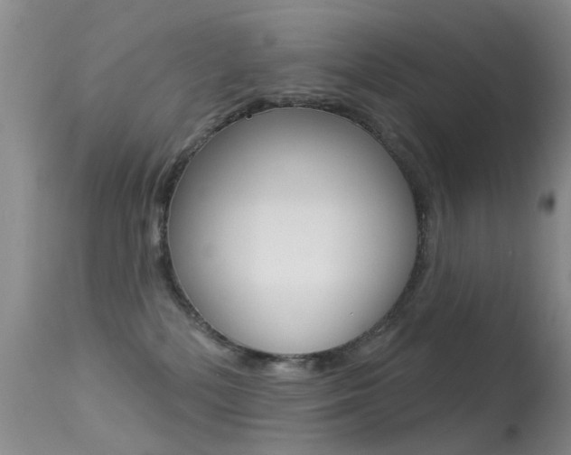 X0000113530232200909181007