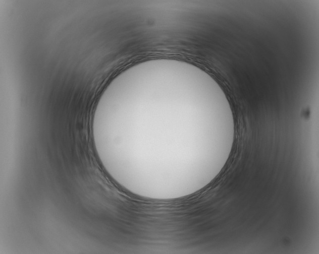 X0000113530233200909181007