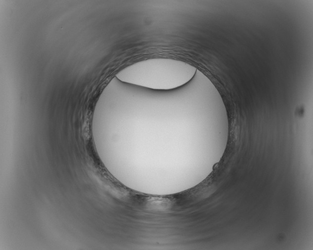 X0000113530234200909181007