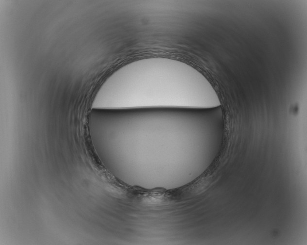 X0000113530235200909181007