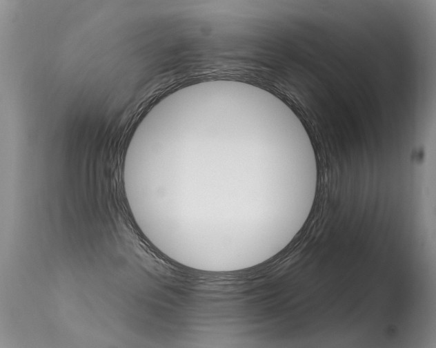 X0000113530237200909181007