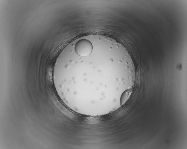 X0000113530238200909181007