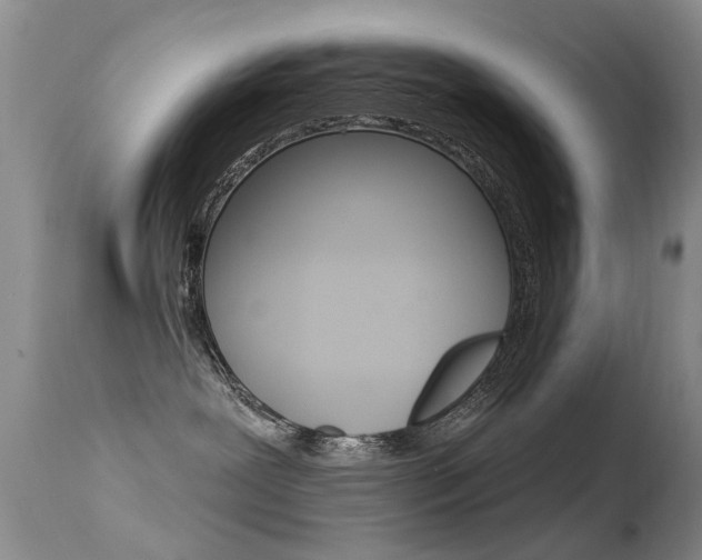X0000113530239200909181007