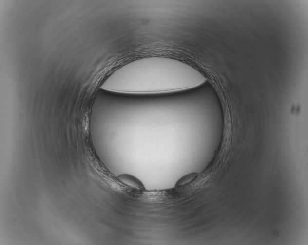 X0000113530240200909181007