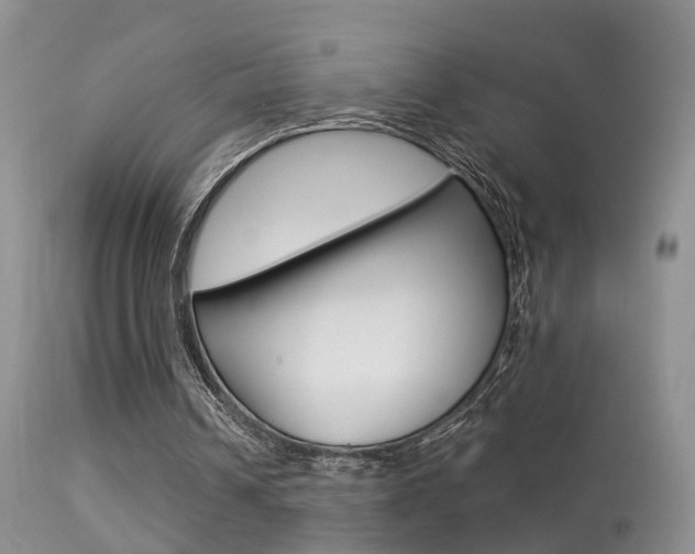X0000113530242200909181006