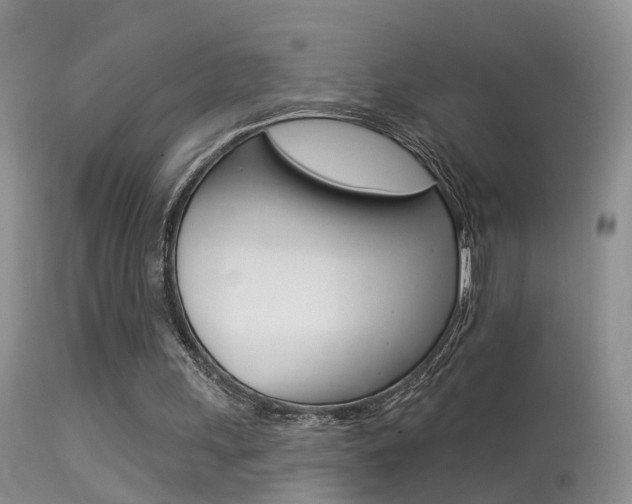 X0000113530243200909181006