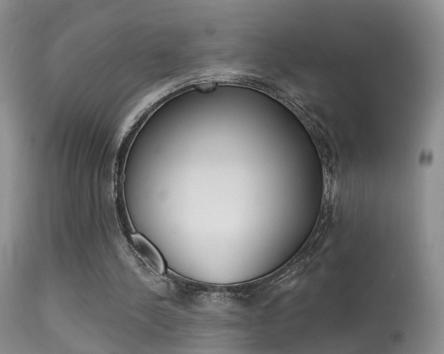 X0000113530244200909181006