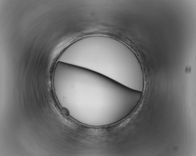 X0000113530245200909181006