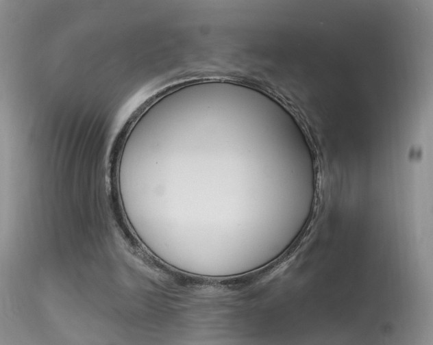 X0000113530246200909181006