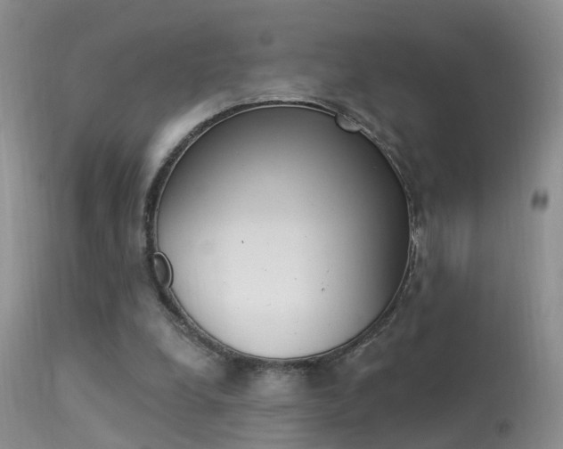 X0000113530248200909181006