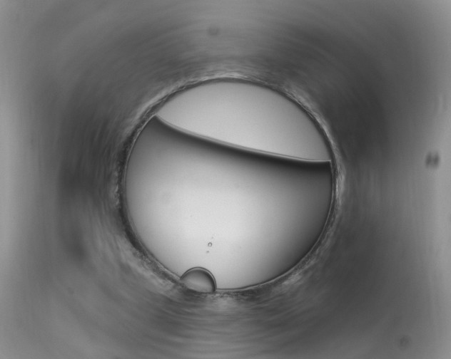 X0000113530249200909181006