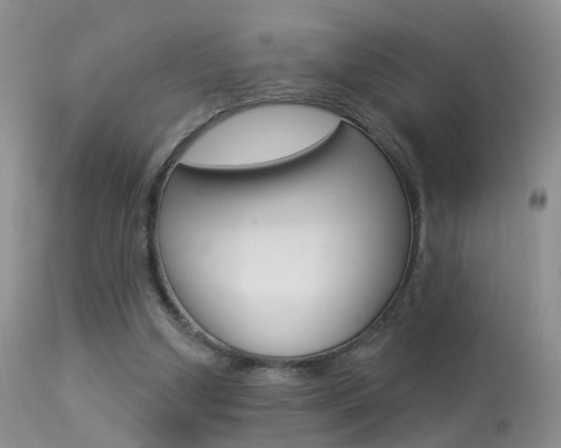 X0000113530250200909181006