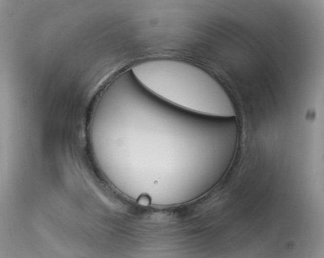 X0000113530251200909181006