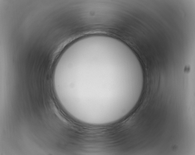 X0000113530252200909181006