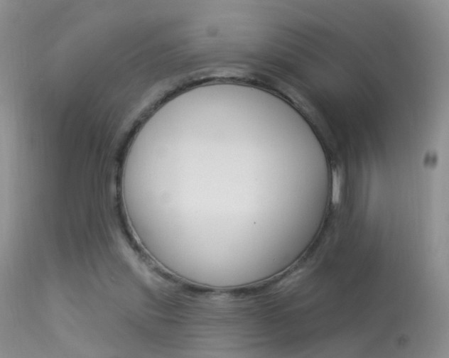 X0000113530253200909181006