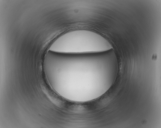 X0000113530254200909181006