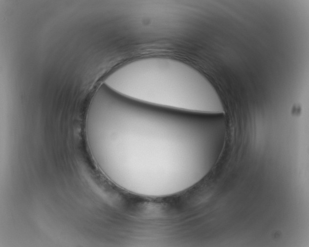 X0000113530255200909181006