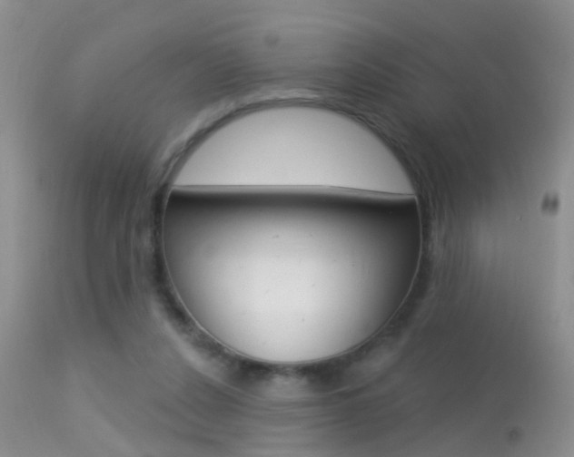 X0000113530256200909181006