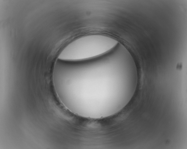 X0000113530258200909181007