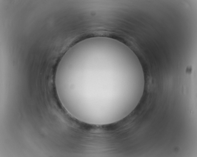 X0000113530259200909181007