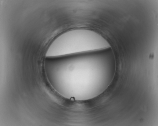 X0000113530260200909181007