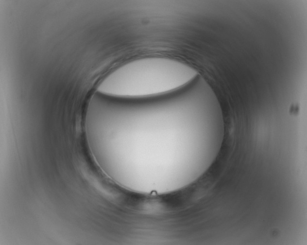 X0000113530262200909181007