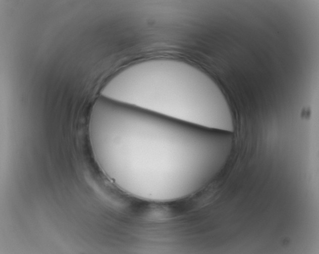 X0000113530263200909181007