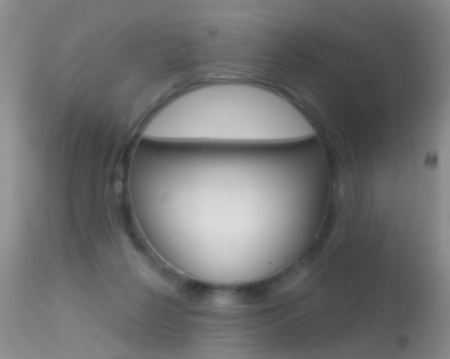 X0000113530264200909181007
