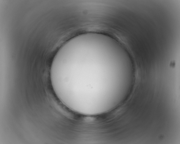 X0000113530265200909181007
