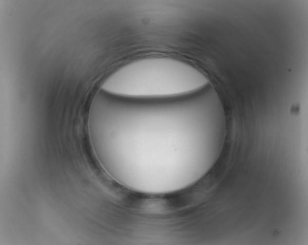 X0000113530266200909181007