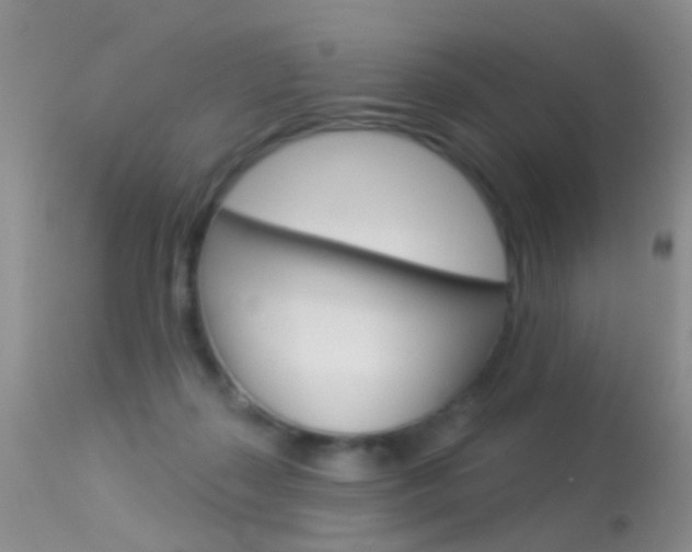 X0000113530267200909181007