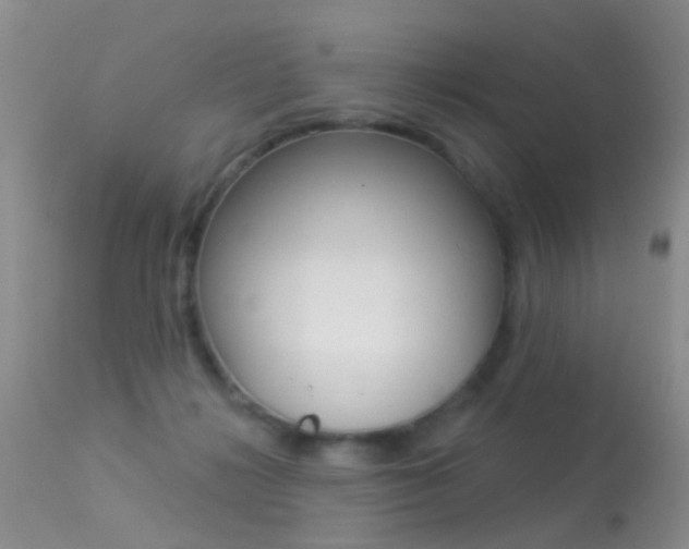 X0000113530268200909181007