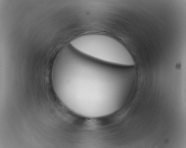 X0000113530269200909181007