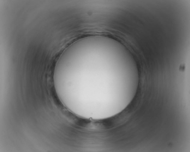 X0000113530270200909181007