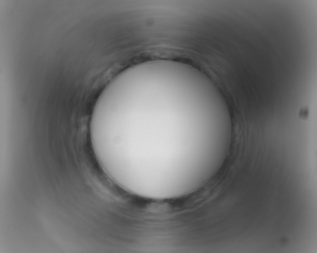 X0000113530271200909181007