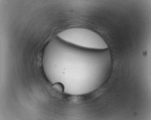 X0000113530273200909181007