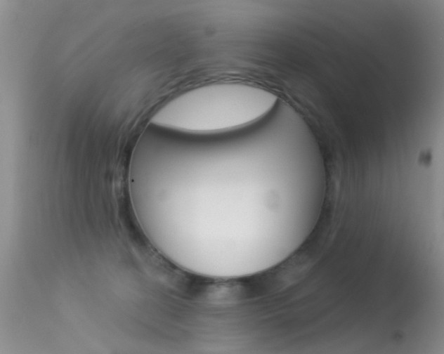 X0000113530274200909181007