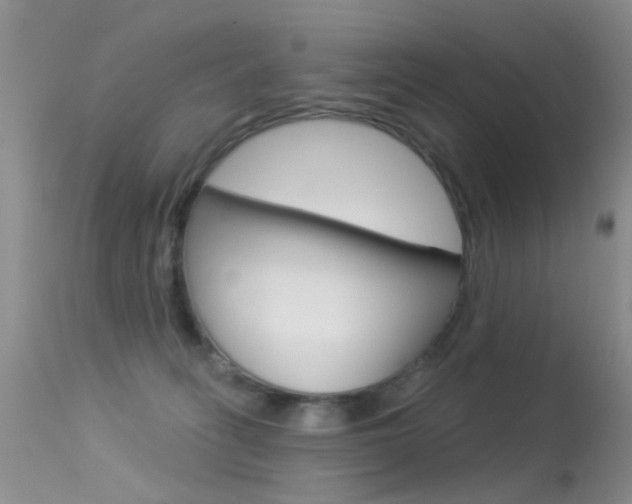 X0000113530275200909181007