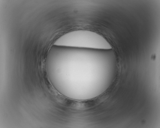X0000113530276200909181007