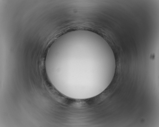 X0000113530278200909181007