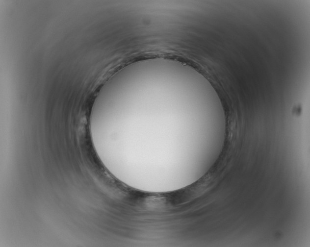 X0000113530279200909181007