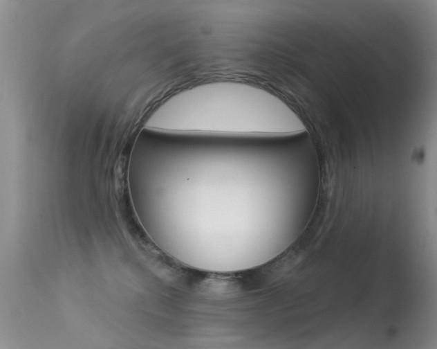 X0000113530280200909181007