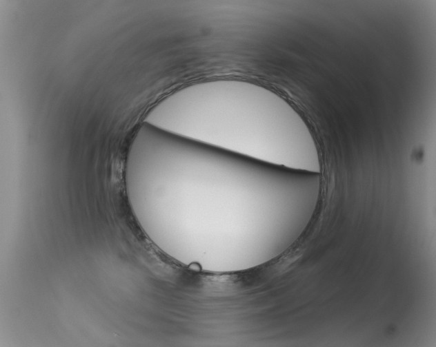 X0000113530281200909181007