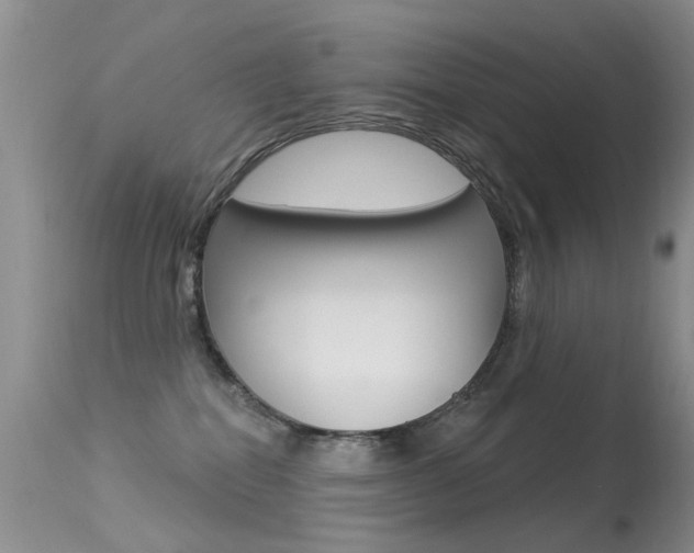 X0000113530282200909181007