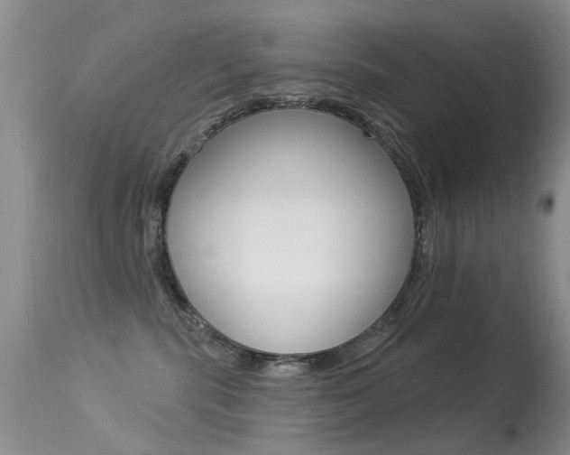 X0000113530283200909181007